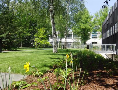 Bestandsbäume in Gartenplanung integriert.