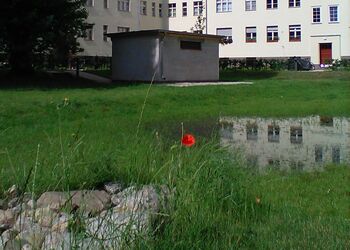 Foto der Rasenmulde mit einstehendem Regenwasser