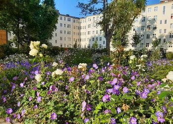 Foto blühender Staudenflächen im Hof